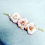 ピンクの薔薇のブレスレット