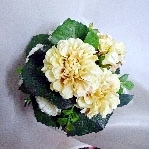 ダリアと白薔薇のラウンドアレンジメント