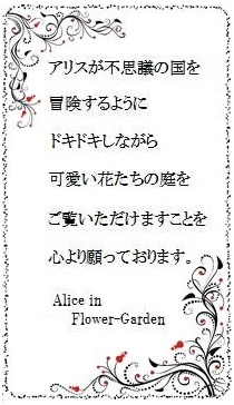 アリステーマ