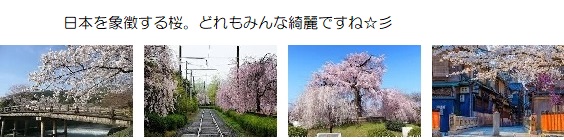 願い５－６５