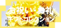 御祝い・御礼