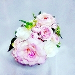 ピンクと白薔薇のアレンジメント